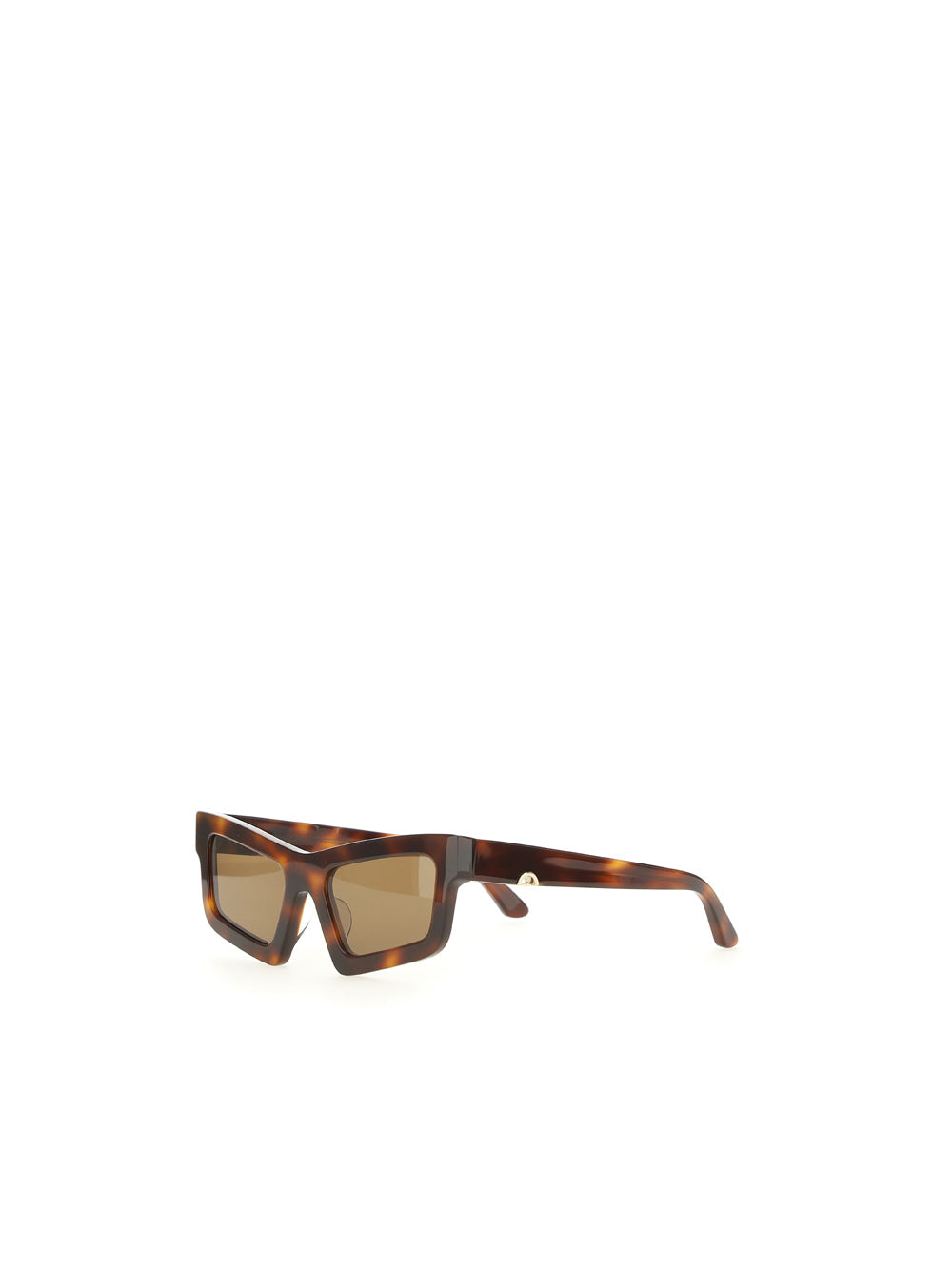 Acetate Sunglasses - Havana Ac